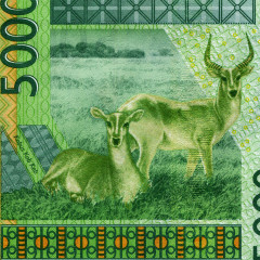 5000 франков 2003 года - Мали (Pick 417D.a) XF