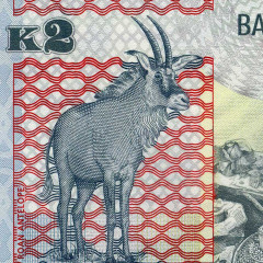 2 квача 2018 года - Замбия (Pick 56b) UNC