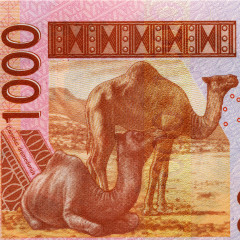 1000 франков 2003-2005 гг - Мали (Pick 415D) UNC