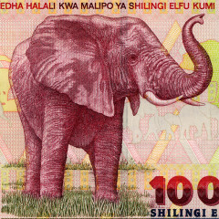 10000 шиллингов 2003 года - Танзания (Pick 39) UNC