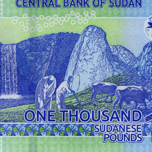 1000 фунтов 2022 года - Судан (Pick 81) UNC