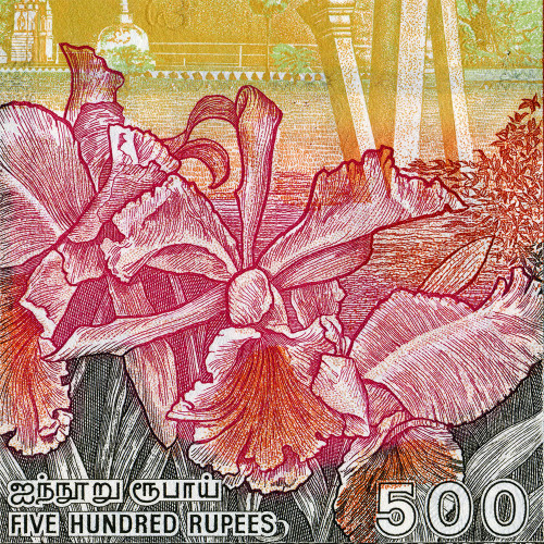 500 рупий 2001-2005 гг - Шри-Ланка (Pick# 119) UNC