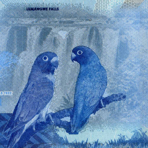 50 квача 2024 (2025) года - Замбия (Pick W64) UNC
