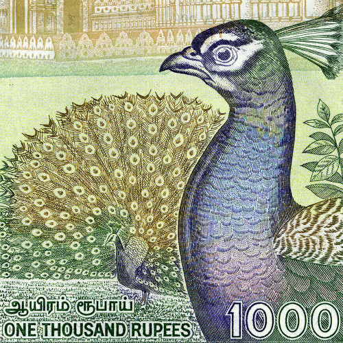 1000 рупий 2001-2006 гг - Шри-Ланка (Pick# 120) UNC