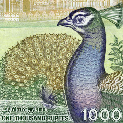 1000 рупий 2001-2006 гг - Шри-Ланка (Pick# 120) UNC