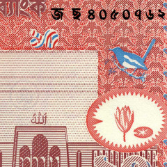 10 так 2004 года - Бангладеш (Pick# 39) UNC