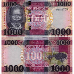 1000 фунтов 2024 года - Южный Судан (Pick W21) UNC