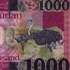 1000 фунтов 2024 года - Южный Судан (Pick W21) UNC