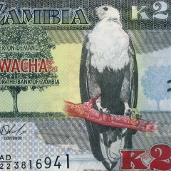 2 квача 2022 года - Замбия (Pick 56) UNC