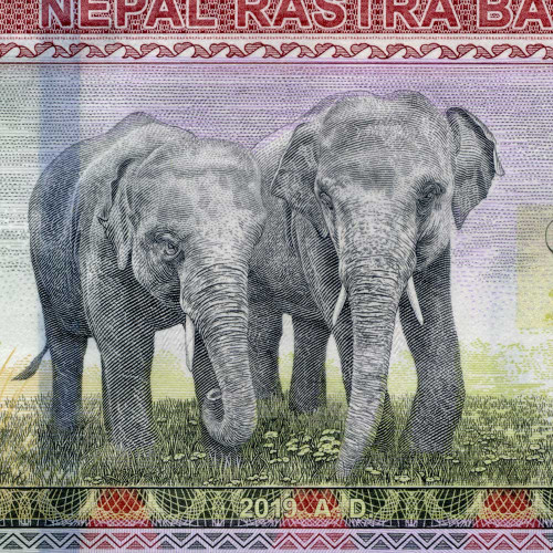 1000 рупий 2019 года - Непал (Pick W82) UNC