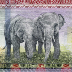 1000 рупий 2019 года - Непал (Pick W82) UNC