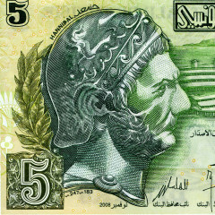 5 динаров 2008 года - Тунис (Pick 92) UNC