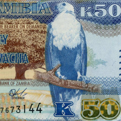 50 квача 2022 года - Замбия (Pick 60) UNC