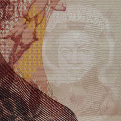 100 долларов 2006 года - Новая Зеландия (Pick # 189.b - XF