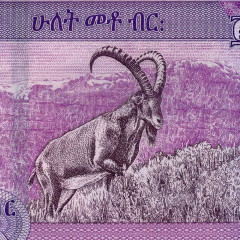 200 быров 2020 года - Эфиопия (Pick W58) UNC