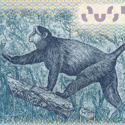 1000 франков 2008 года - Руанда (Pick 35) UNC