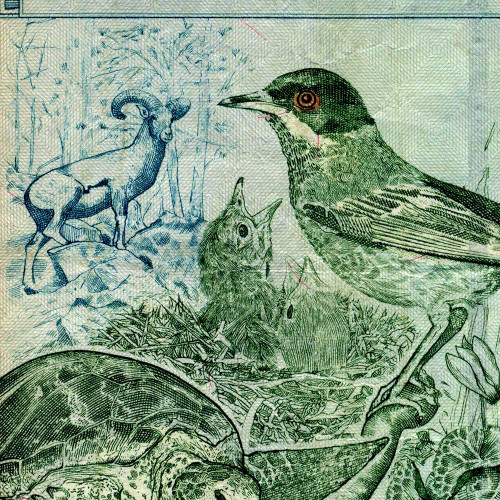 10 фунтов 2001 года - Кипр (Pick # 62c) F-VF