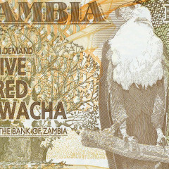 500 квача 2009 года - Замбия UNC