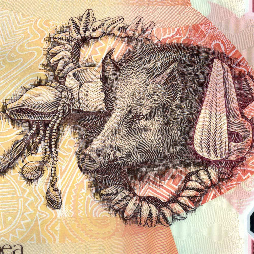 20 кина 2021 года - Папуа - Новая Гвинея (Pick W53) UNC - полимер