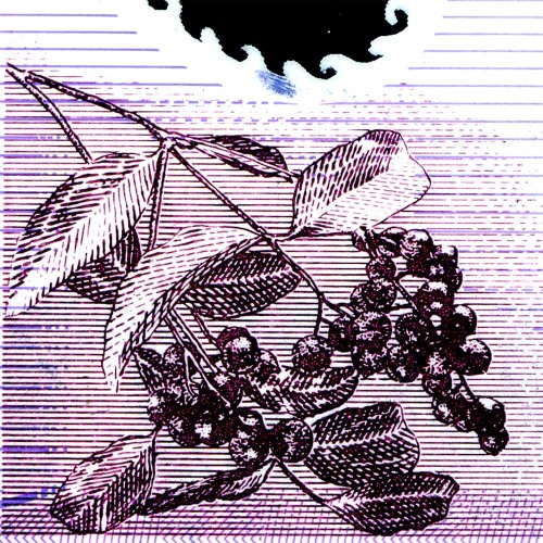 50 долларов 1999-2007 гг - Новая Зеландия (Pick # 188 - VF