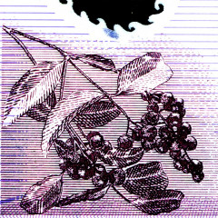 50 долларов 1999-2007 гг - Новая Зеландия (Pick # 188 - VF