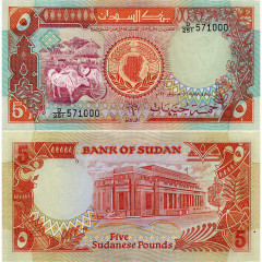 5 фунтов 1991 года - Судан (Pick 45) UNC