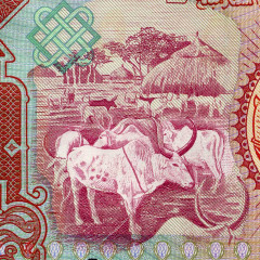 5 фунтов 1991 года - Судан (Pick 45) UNC