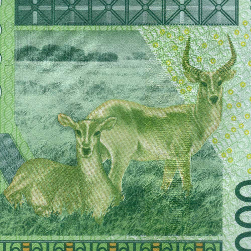 5000 франков 2024 года - Бенин (Pick 217B) UNC