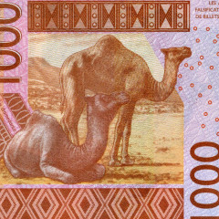 1000 франков 2022 года - Мали (Pick 415D) UNC
