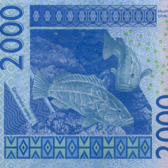 2000 франков 2003 (2024) года - Бенин (Pick 216B) aUNC