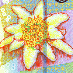 50 лей 2016 года - Румыния UNC