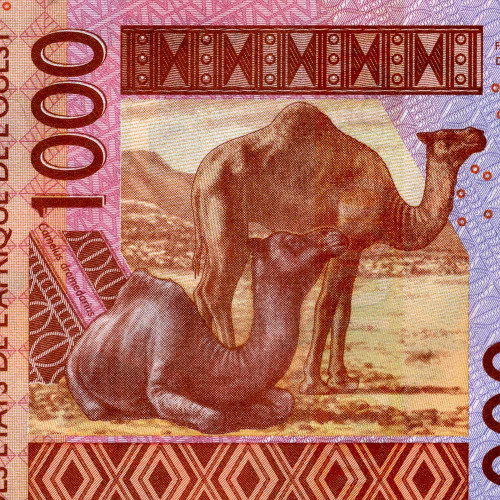 1000 франков 2003 года - Кот-д'Ивуар (Pick 115Aa) UNC