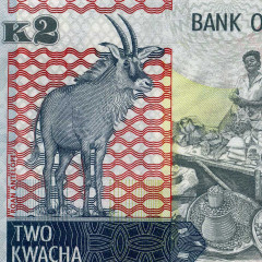 2 квача 2015 года - Замбия (Pick 56) UNC