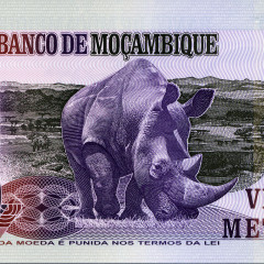 Полимерная банкнота 20 метикалов 2011 года - Мозамбик (Pick 149) UNC