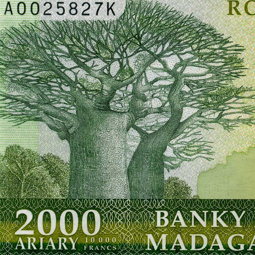 2000 ариари 2003 года - Мадагаскар (Pick 83) UNC