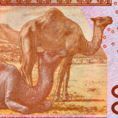 1000 франков 2003 (2023) года - Мали (Pick 415D) UNC