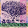 1000 эскудо 2007 года - Кабо-Верде (Pick 70) UNC