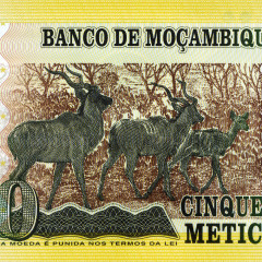 Полимерная банкнота 50 метикалов 2011 года - Мозамбик (Pick 150) UNC