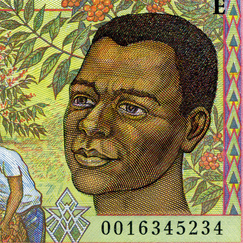 1000 франков 1993-2002 гг - Камерун (Pick 202E) UNC