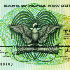 2 кина 1981-1991 гг. Папуа-Новая Гвинея (Pick 5) UNC