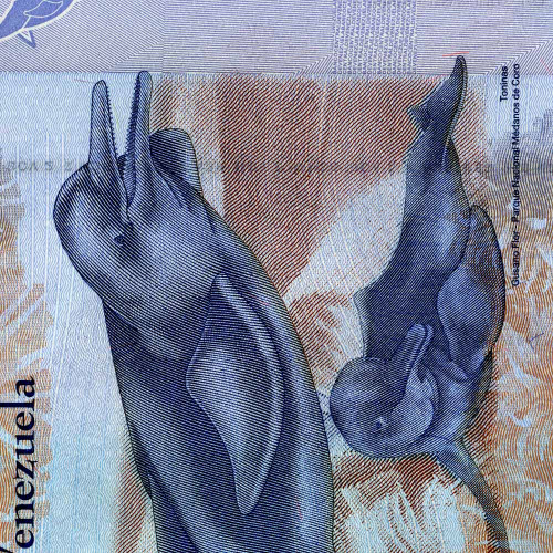 2 боливара 2013 года - Венесуэла - 29 октября 2013 года - UNC