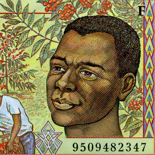 1000 франков 1993-1999 гг - Центральноафриканская Республика (Pick 302F) UNC