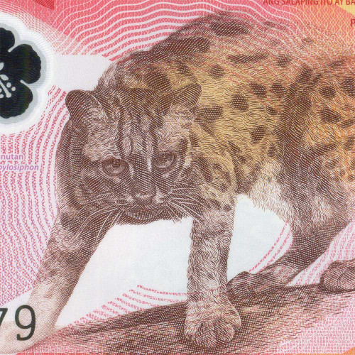 50 песо 2025 года - Филиппины (Pick W237) UNC - пластик