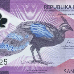 100 песо 2024 года - Филиппины (Pick W238) UNC - пластик