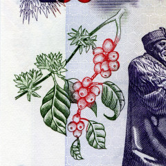 100 шиллингов 2005-2010 гг - Кения (Pick 48) UNC