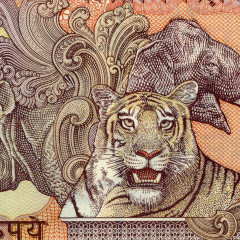 10 рупий 2007-2010 года - Индия (Pick# 95) UNC