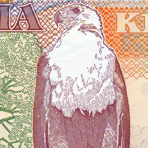 1000 квача 2011 года - Замбия (Pick 44.h) UNC