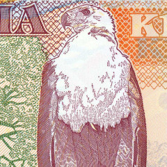 1000 квача 2011 года - Замбия (Pick 44.h) UNC