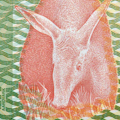1000 квача 2011 года - Замбия (Pick 44.h) UNC