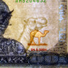 100 накф 2004 года - Эритрея (Pick 8) UNC